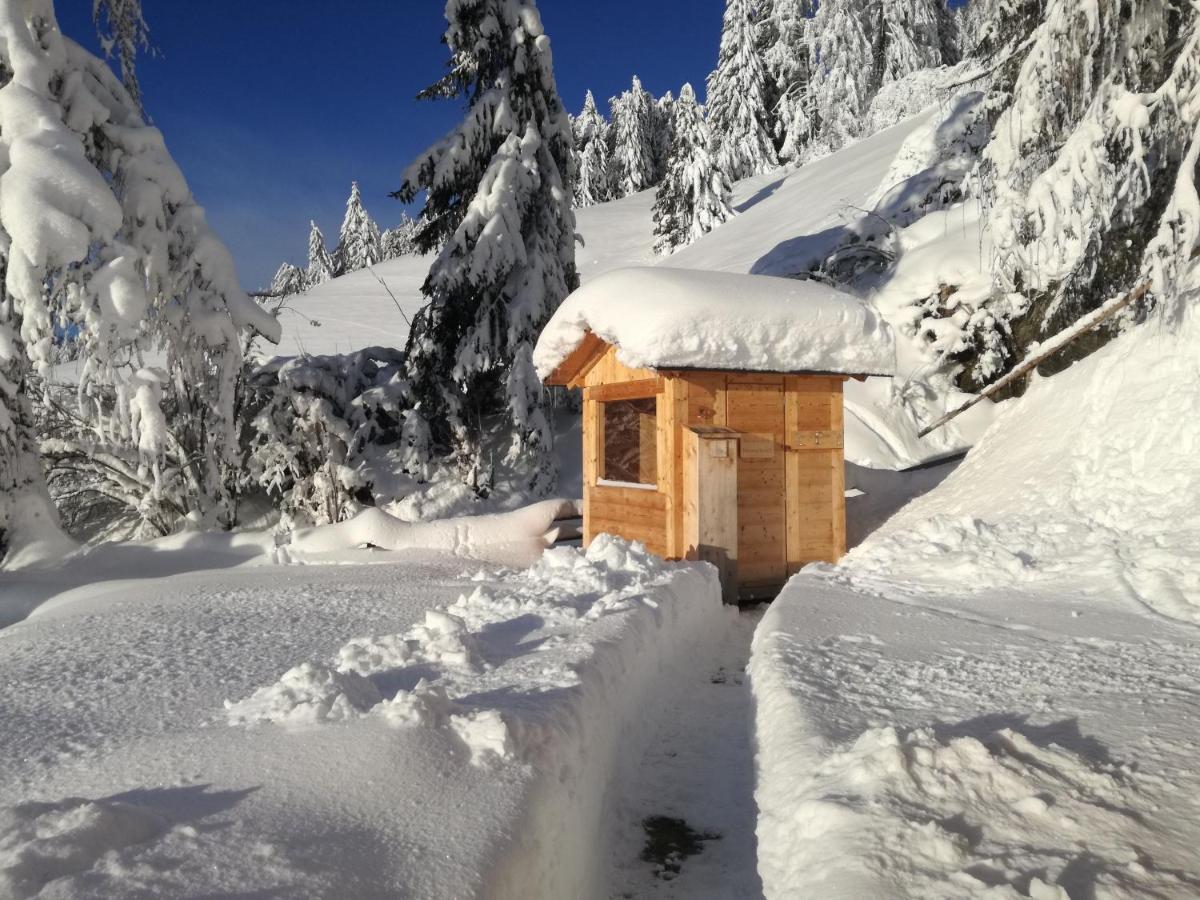 Apartment Himmelreichhof San Candido Exterior foto